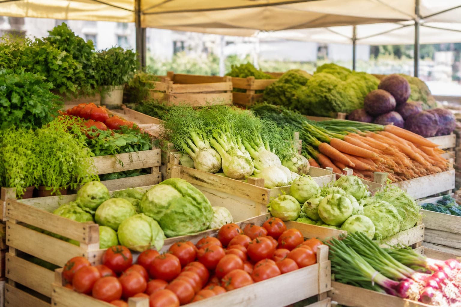 Marktstand mit Kisten voller Möhren, Kohl, Paprika und Salat im Tageslicht